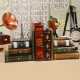 Serre-Livre en Bois Vintage & Original