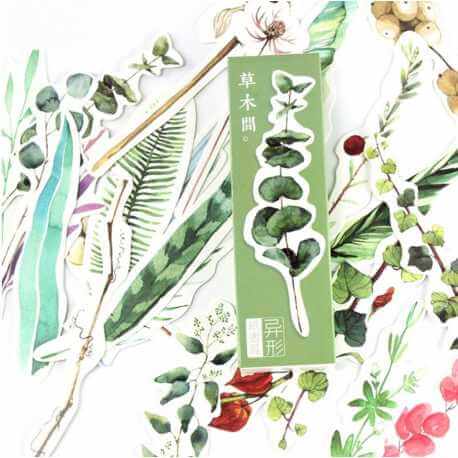 30 Marque-pages Plantes séchées